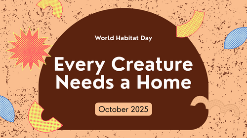 World Habitat Day Assembly PowerPoint – KS1 & KS2 | Homes, Habitats & Planet Care