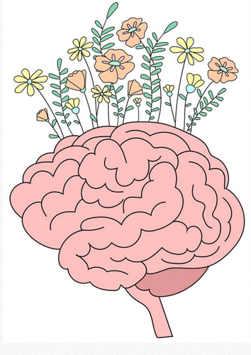 Change Your Mindset Display