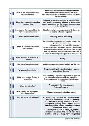 AQA GCSE Biology B5 REVISION (Triple & Combined) | Editable + Worksheets