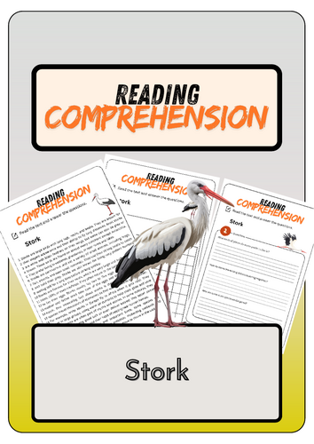 Reading Comprehension - Stork + Solutions (1)