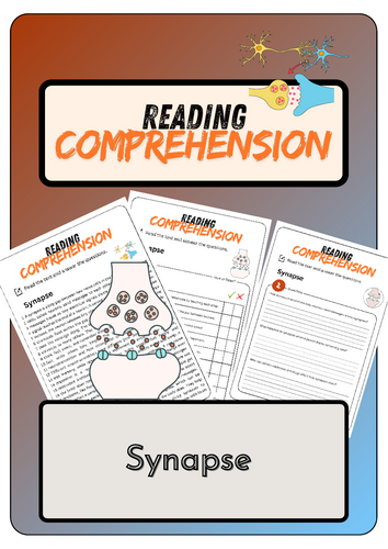 Reading Comprehension - Synapse + Solutions