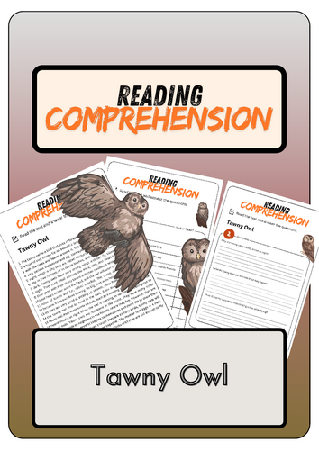 Reading Comprehension - Tawny Owl+ Solutions
