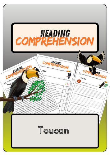 Reading Comprehension - Toucan + Solutions