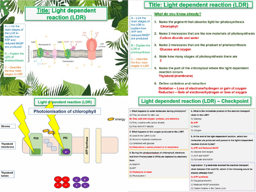Light Dependent Reaction (LDR) - AQA A Level Biology- 11. Photosynthesis
