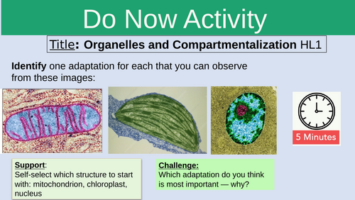 IBDP Biology B3.2 Organelles and Compartmentalization AHL
