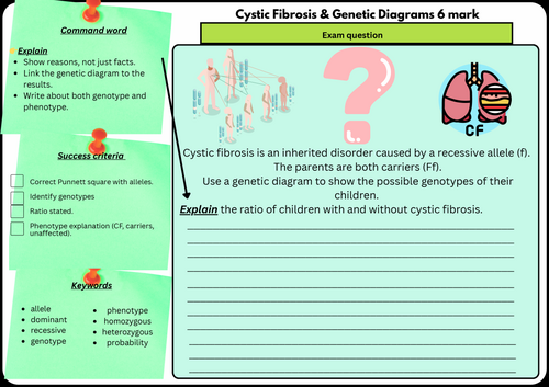 Cystic Fibrosis & Genetic Diagrams – GCSE Biology 6 Mark Exam Question | Scaffolded / Differentiated