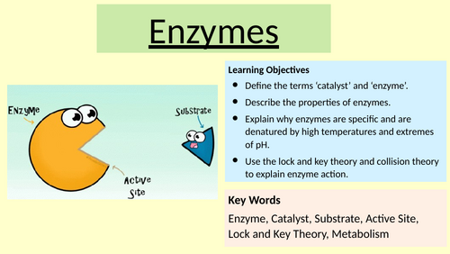 Enzymes