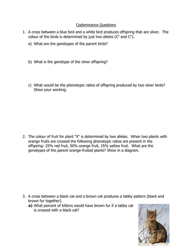 Codominance Worksheet
