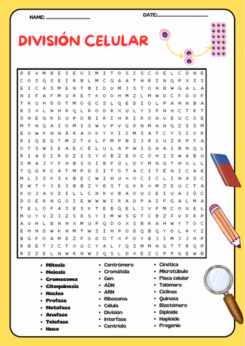 sopa de letras sobre división celular