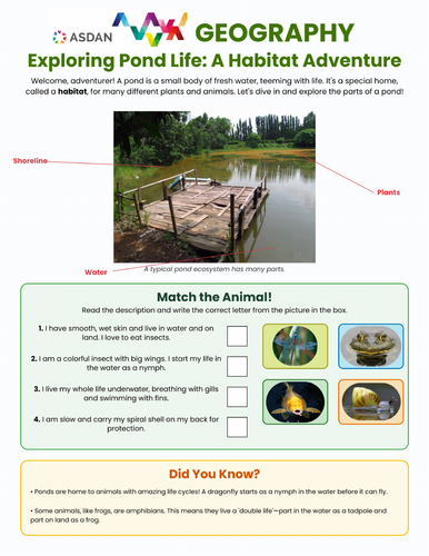 ASDAN Geography - Pond Ecosystems