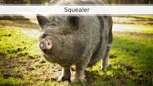 Animal Farm Scheme of Learning