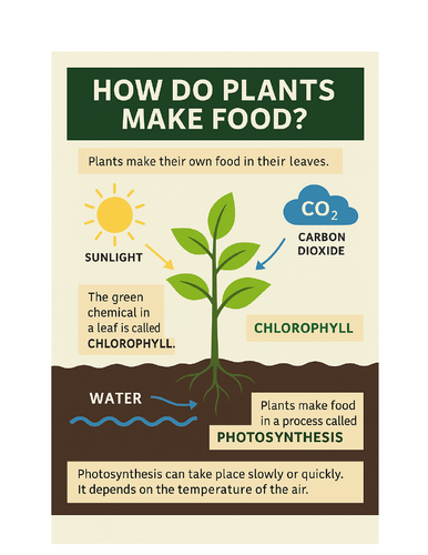 Photosynthesis and the Role of Light in Plant Growth
