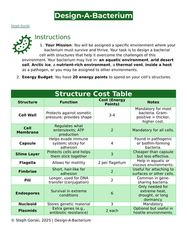 Design A Bacterium Activity Handout Prokaryote