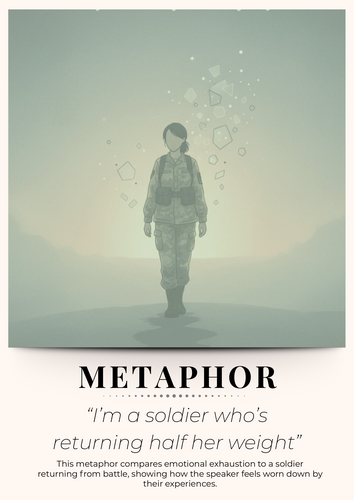 Taylor Swift - English Class Posters (Literary Techniques)