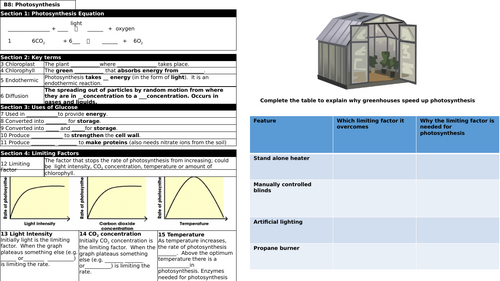GCSE Biology Photosynthesis Revision Organiser plus answers | Teaching ...