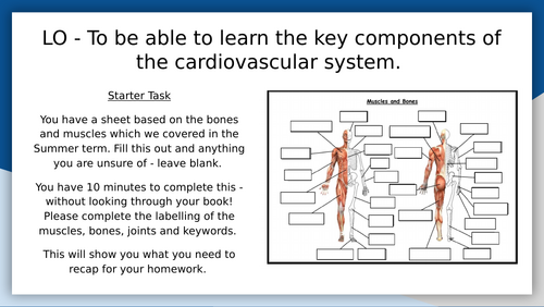 GCSE PE OCR Label of Heart and Pathway of Blood