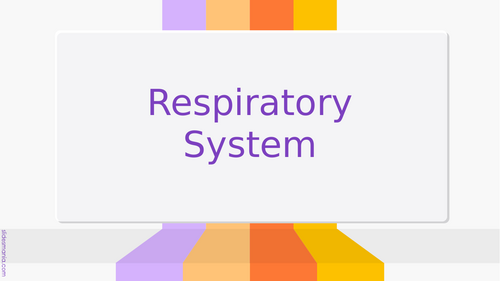 GCSE PE OCE - Respiratory Lessons.