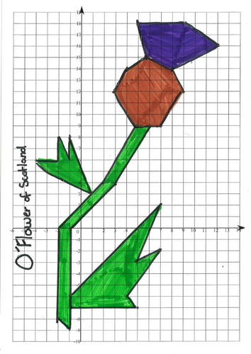 Thistle Coordinate Drawing