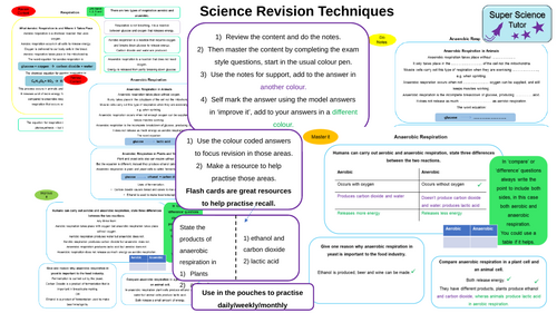 Revision Techniques in Science Wall Display
