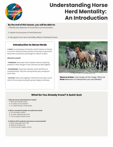 Horse Psychology 3 - Horse Herd Mentality