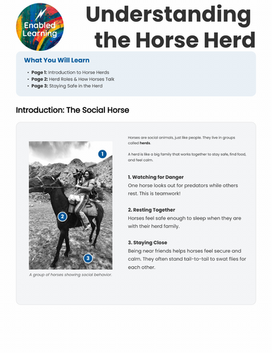 Horse Psychology 4 - The Sociable Herd Mentality