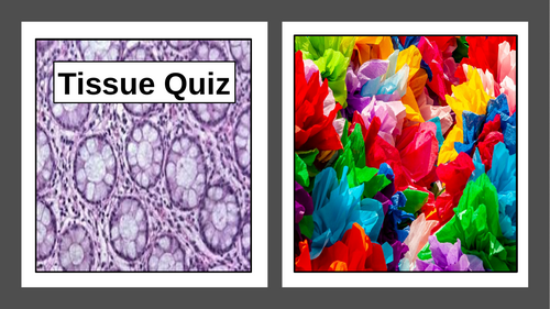 Tissue Quiz - Power and Conflict Anthology