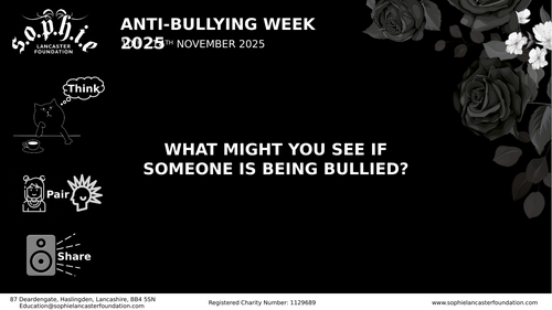 Anti-Bullying Week Lesson (KS2)