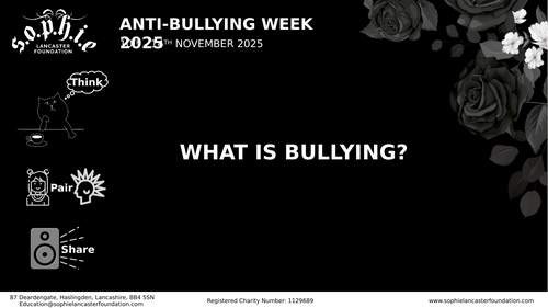 Anti-Bullying Week Lesson (KS3)