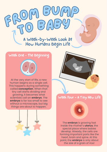 The Human Body Reading Comprehension Pack