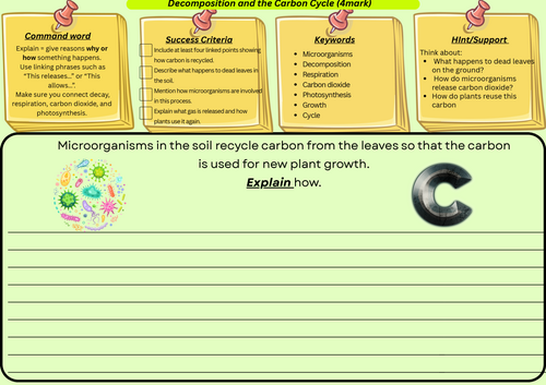Decomposition and the Carbon– GCSE Biology 4 Mark Explain Question with Scaffold, Fill-in + Answer