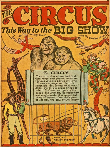 The Circus Comic History