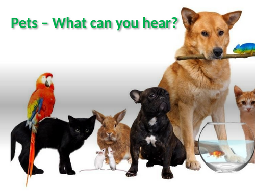 Guess That Pet Sound!