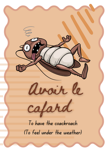 French Idioms Display - 10 Illustrated Idioms with Translation