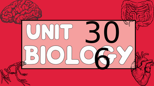 Animal Skeletal System