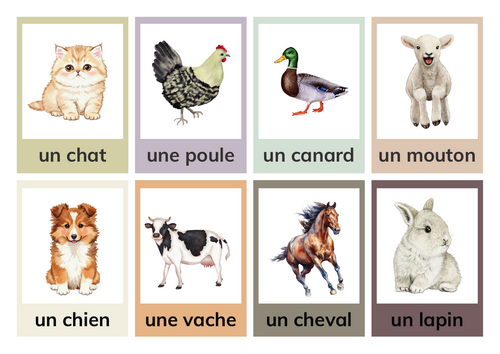French Farm Animal Vocabulary Flashcards in Colourful Retro Style