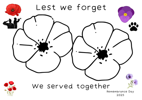 Remembrance Day Colouring/Art
