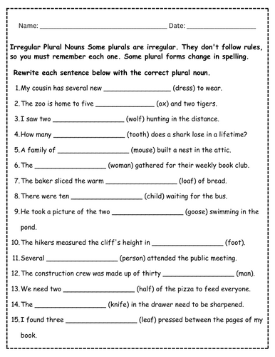 Irregular Plural Nouns Worksheet