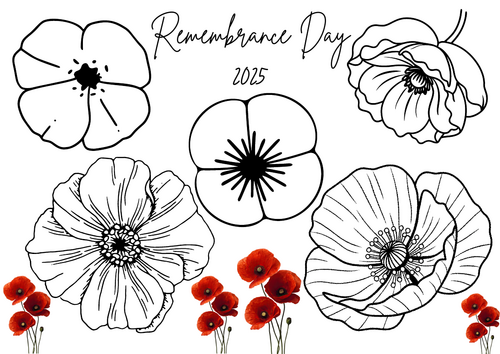 Remembrance Day Colouring