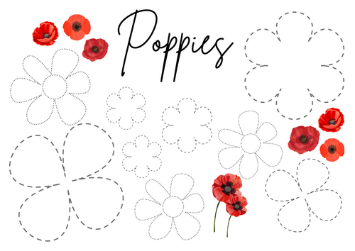 Remembrance Day Poppy tracing