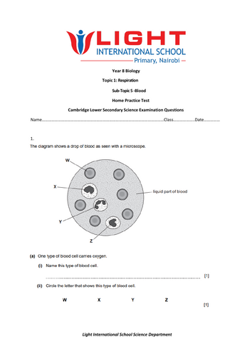 Year 8 Biology-Blood and Respiration