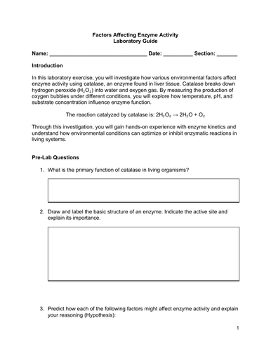 Lab activity: Factors Affecting Enzyme Activity