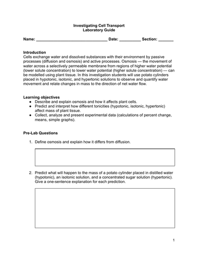 Lab activity: Investigating cell transport