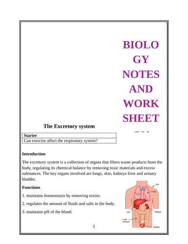 Activity book on digestive and excretory system.