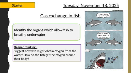 AQA A-Level New specification - 3.3.2 Gas exchange in  Fish  INCLUDES RP5 -Fish Dissection