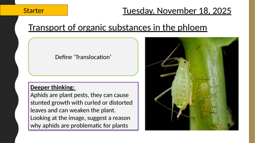 AQA A-Level New specification - 3.3.4.2 Translocation (Mass transport in plants)