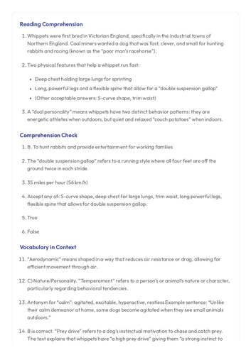 Year 6 SATS Style Comprehension on Whippets | Teaching Resources