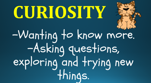 Curiosity Assembly!