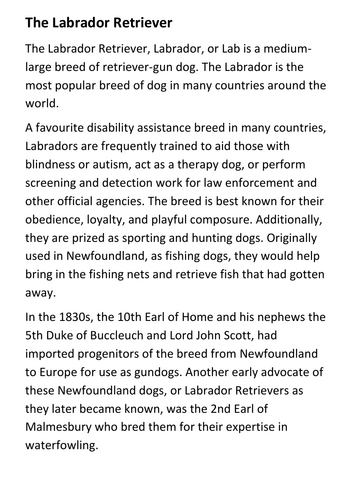The Labrador Retriever Handout