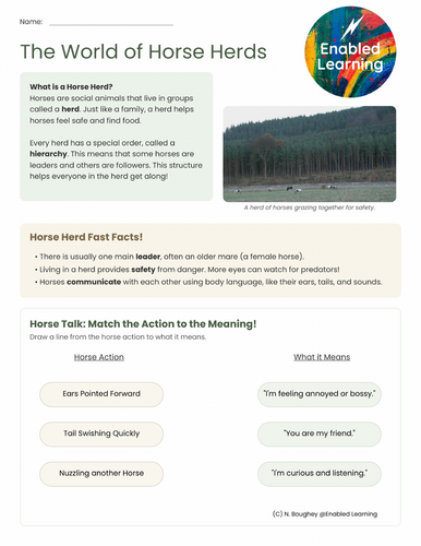 Equine Psychology - Understanding Herd Mentality