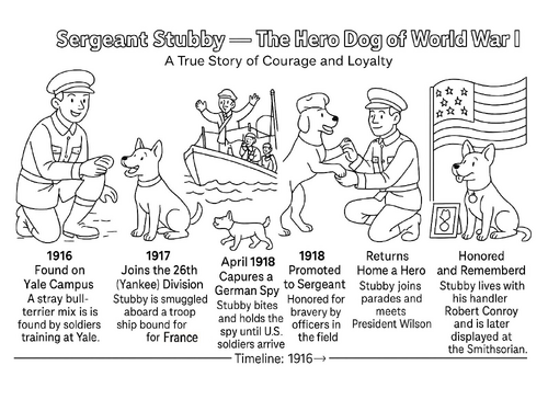Stubby the Dog Coloring Timeline